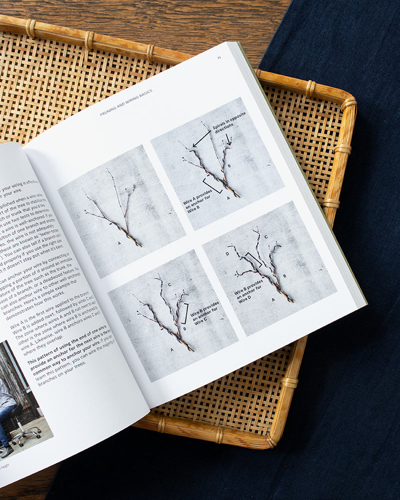 ENG: The Essential Bonsai Book: Techniques for Creating Beautiful Trees by Jonas Dupuich