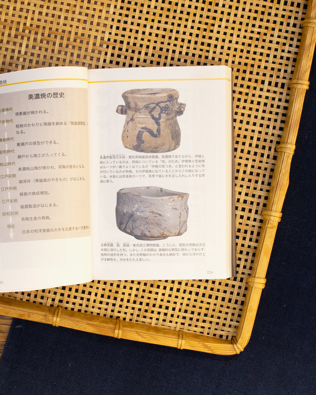 JPN: Everyday Japanese Yaki-mono Dictionary