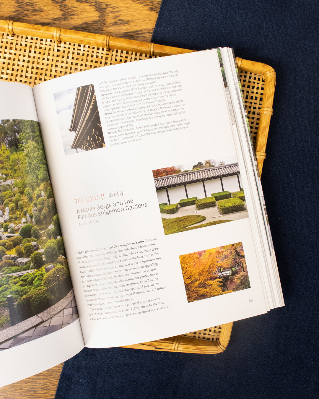 ENG: Zen Gardens and Temples of Kyoto by John Dougill, Paperback