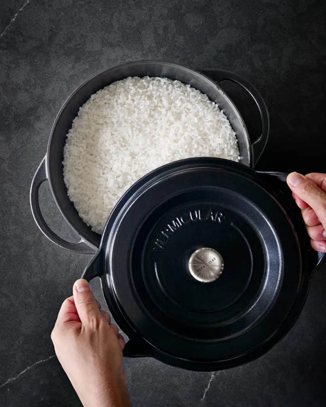 Oven Pot, Vermicular, Round Knob Lid, Matte Black, 22cm