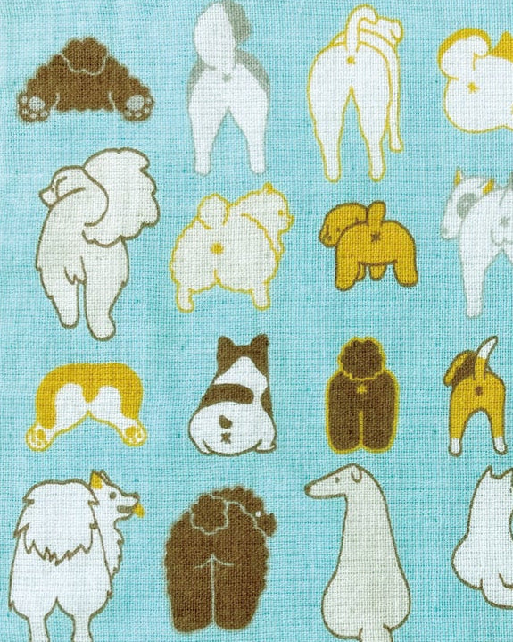 PrairieDog, Handkerchief, Dog Butt, Blue