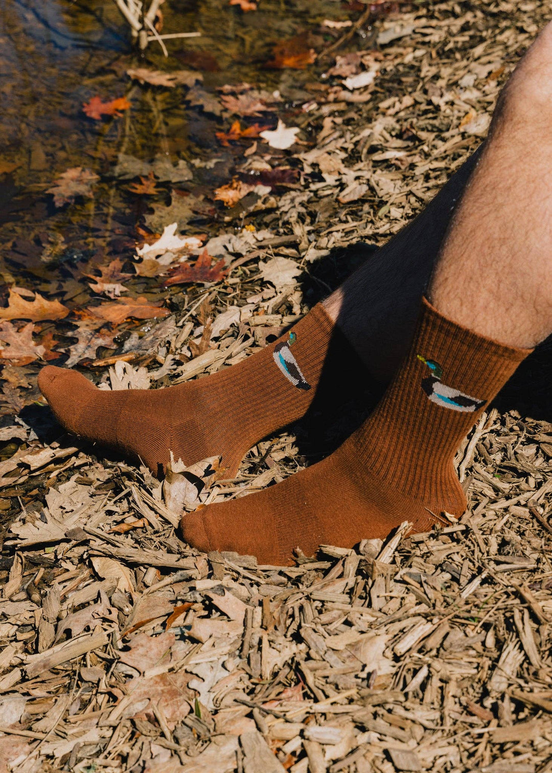 American Trench, Crew Socks, Zoo