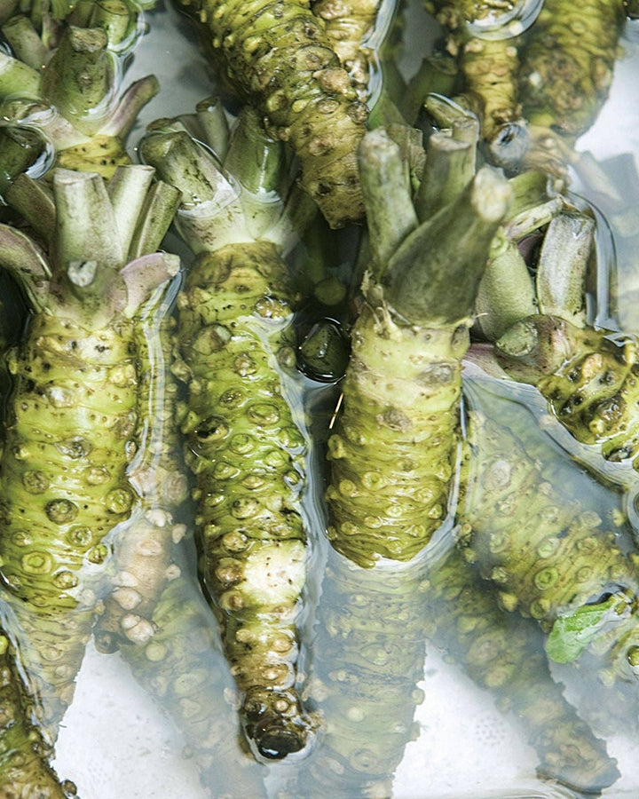 Umami Insider, Kaneku, Herb Wasabi (Wasabi-Infused Extra Virgin Olive Oil)