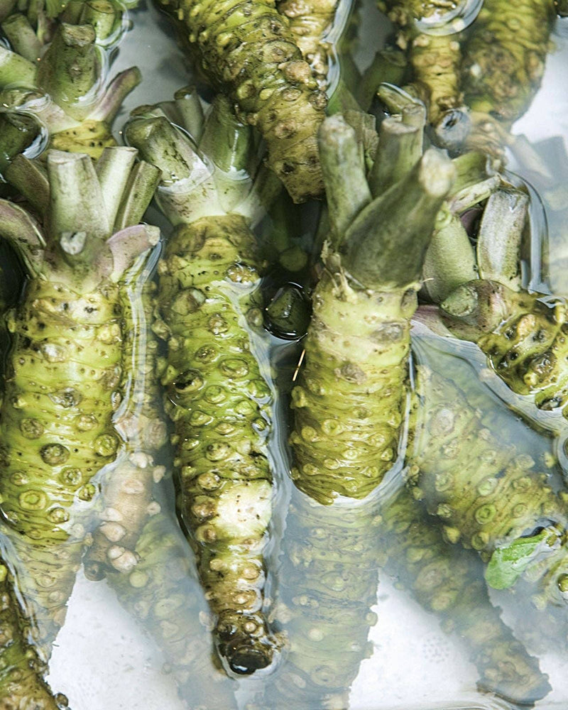Umami Insider, Kaneku, Herb Wasabi (Wasabi-Infused Extra Virgin Olive Oil)