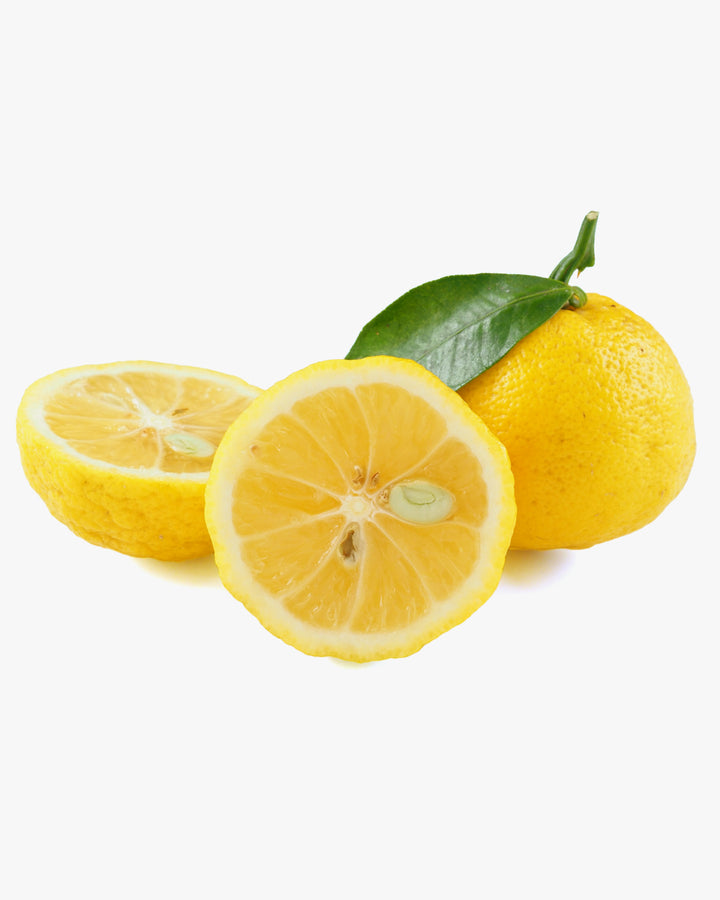 Beauty Secrets of Japan, Lip Balm, Japanese Citrus