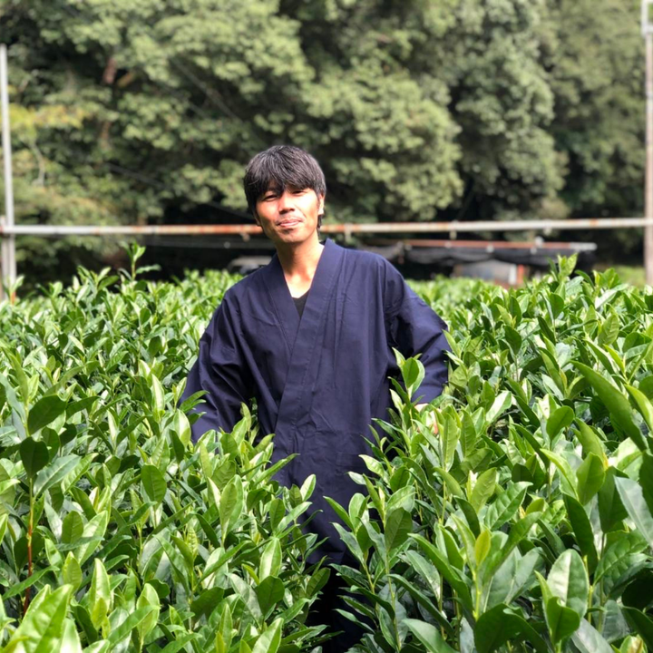 Organic Yuzu Hojicha, 0.85 oz