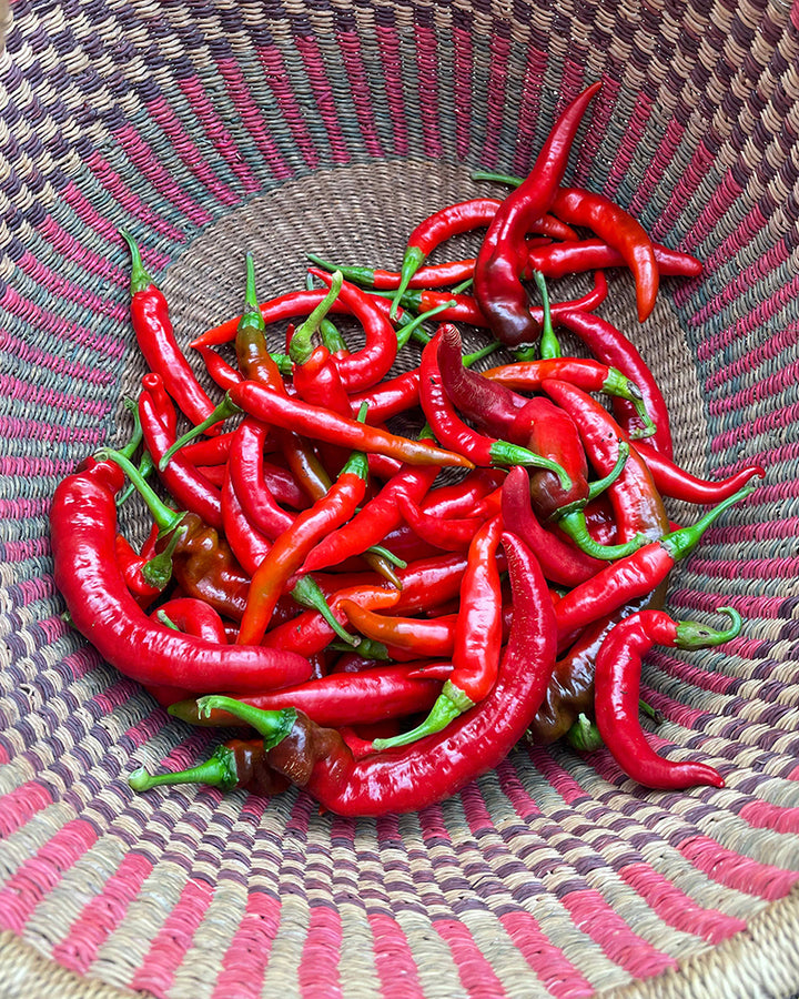 Moromi, Fermented Cayenne Hot Sauce