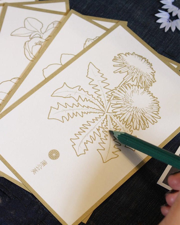 Postcards, Floral Color-In, White and Gold
