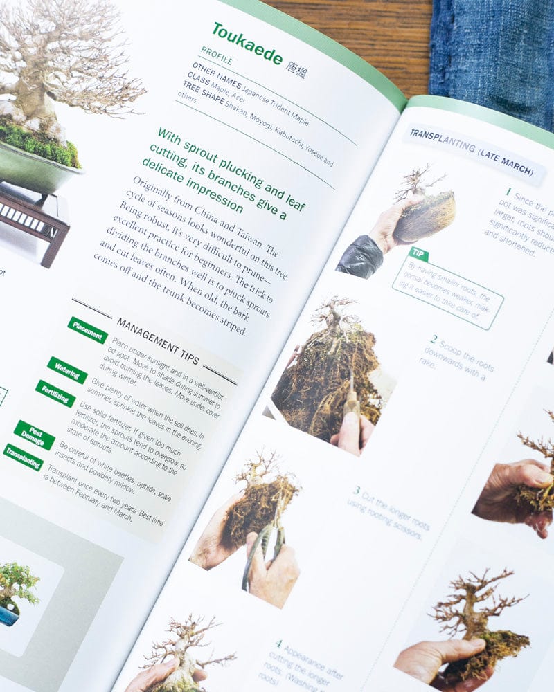 ENG: The Ultimate Bonsai Handbook