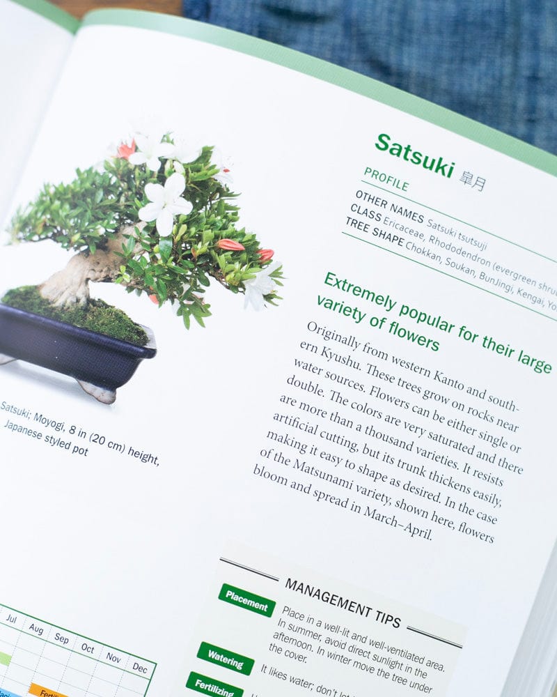 ENG: The Ultimate Bonsai Handbook