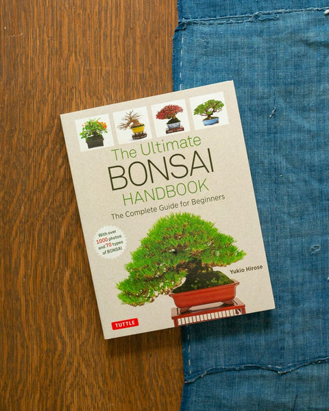 beginners guide to bonsai trees ENG: The Ultimate Bonsai Handbook – Kiriko Made