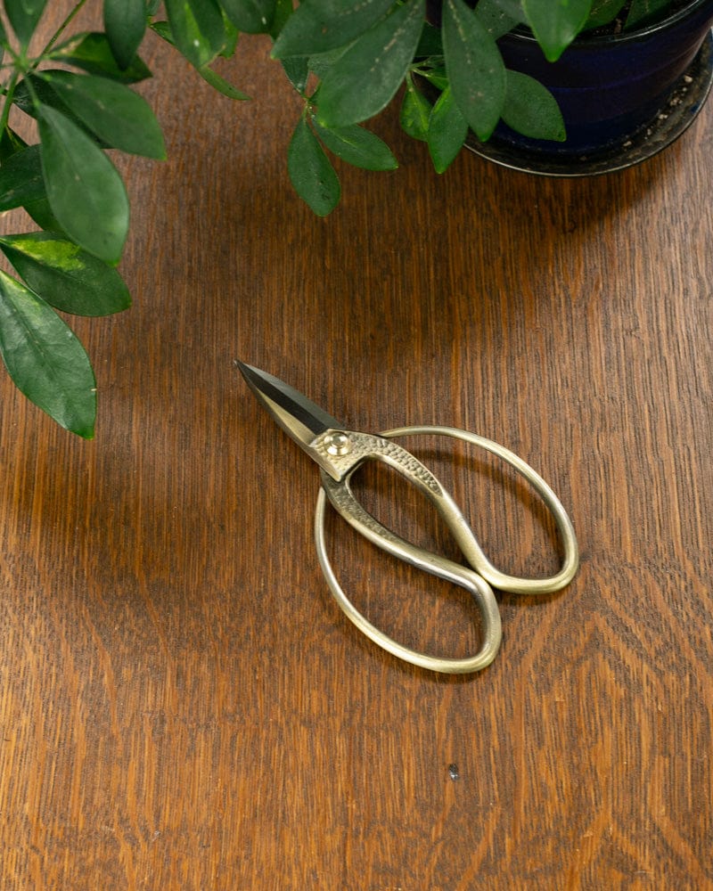 Tanabe Hasami, Japanese Gardening Scissors, Bronze