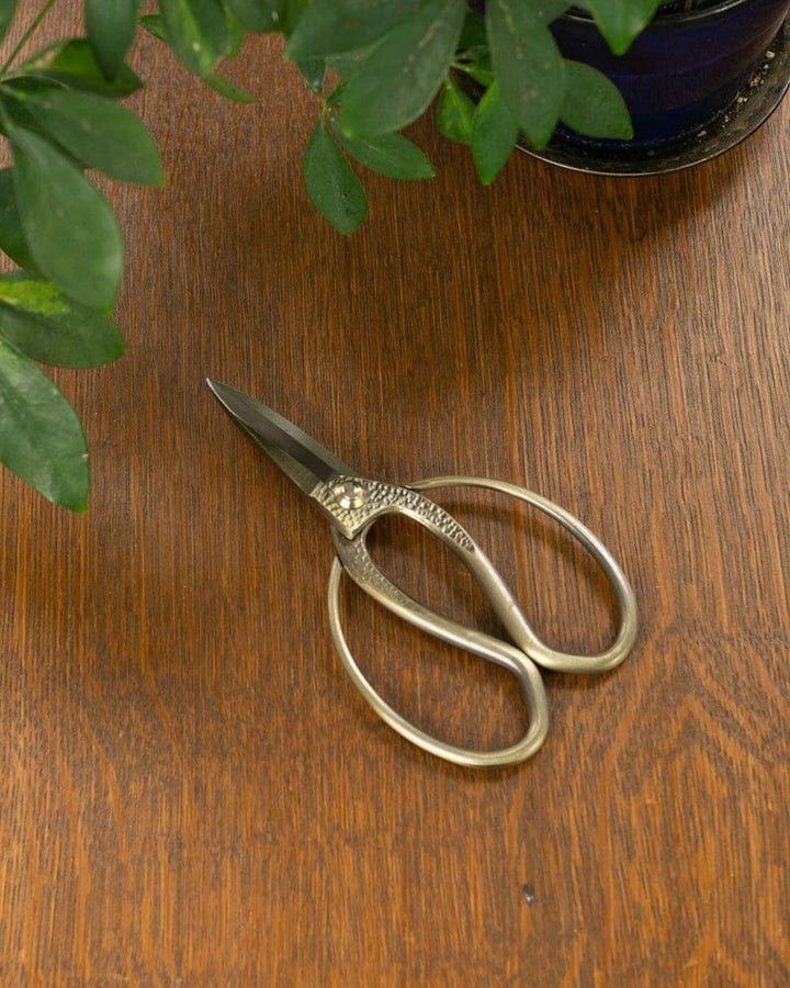 Tanabe Hasami, Japanese Gardening Scissors, Bronze Long Blade