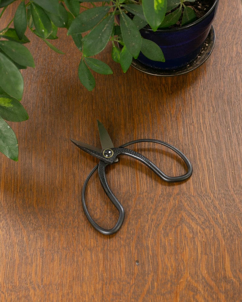 Tanabe Hasami, Japanese Gardening Scissors, Black
