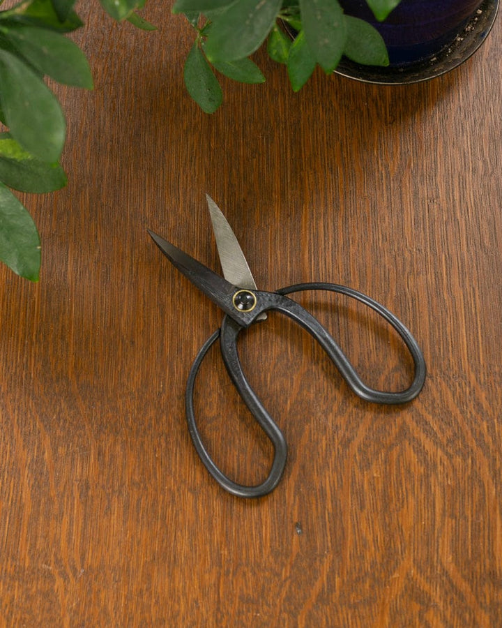 Tanabe Hasami, Japanese Gardening Scissors, Black Long Blade
