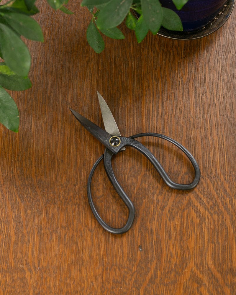 Tanabe Hasami, Japanese Gardening Scissors, Black Long Blade