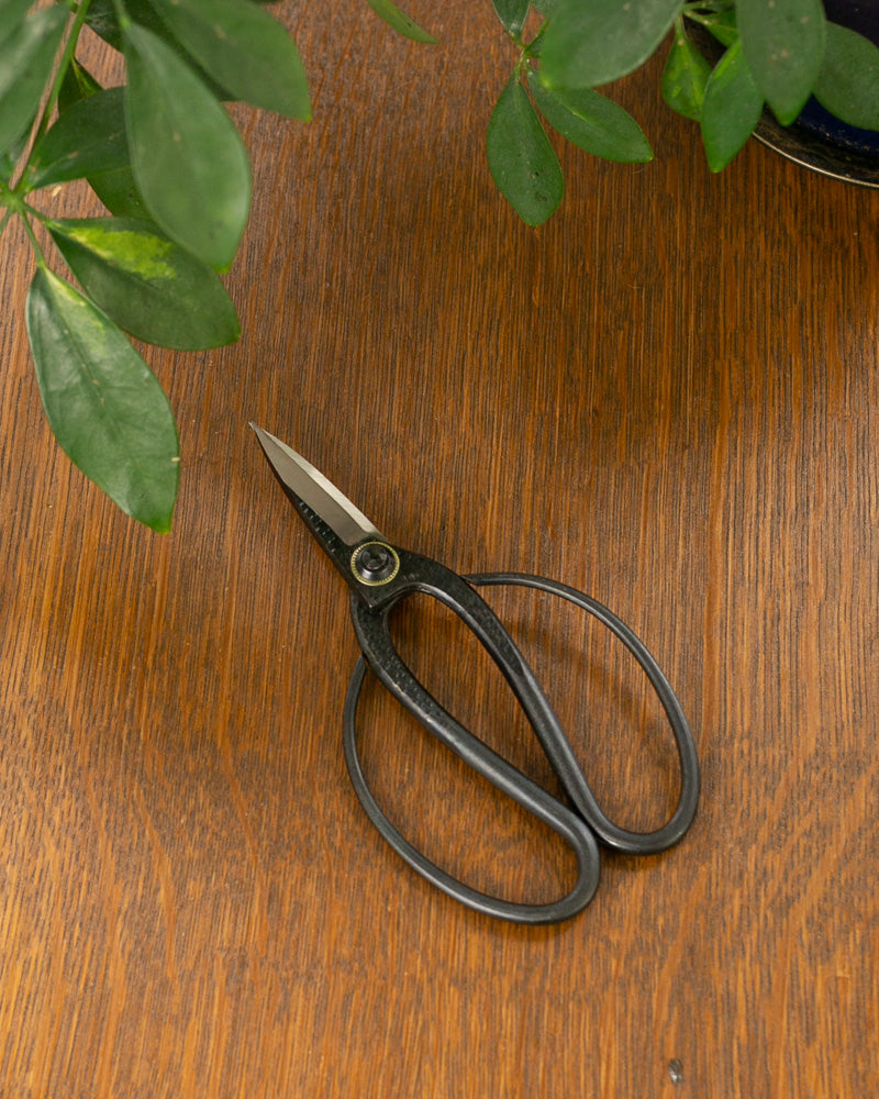 Tanabe Hasami, Japanese Bonsai Scissors, Black