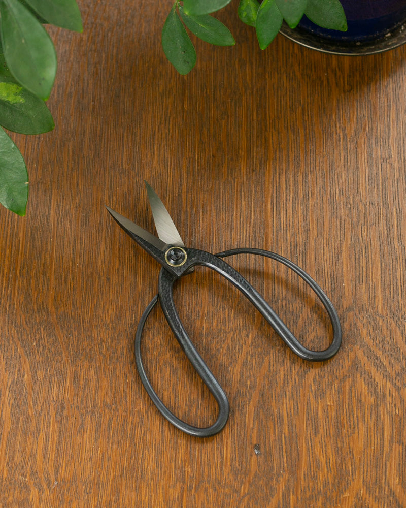 Tanabe Hasami, Japanese Bonsai Scissors, Black