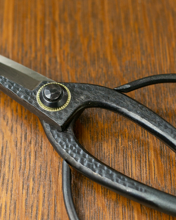 Tanabe Hasami, Japanese Bonsai Scissors, Black