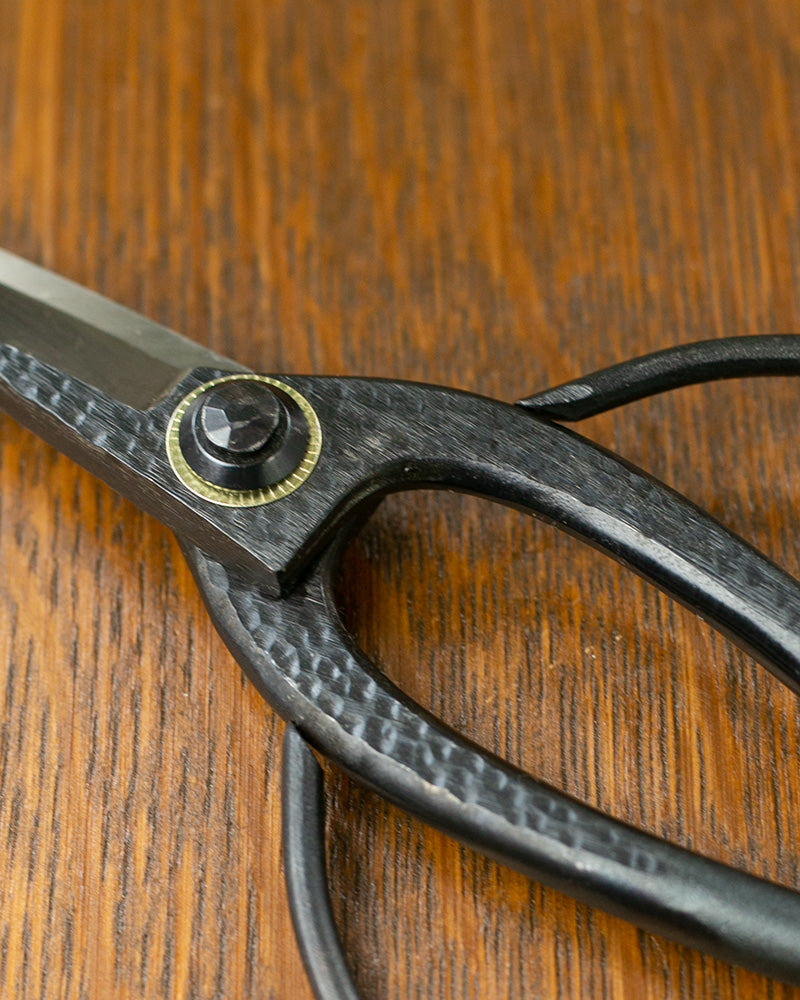 Tanabe Hasami, Japanese Bonsai Scissors, Black