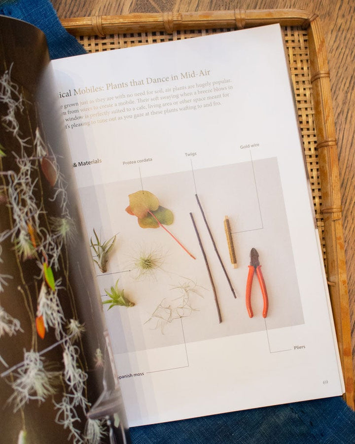 ENG: Nature Crafts - Japanese Style Plant &amp; Leaf Projects
