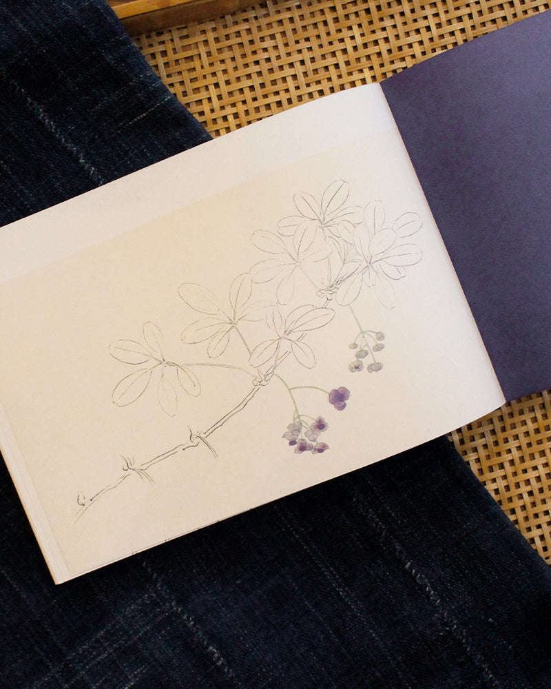 JPN: 100 Sheet Letterbook of Beautiful Japanese Flowers