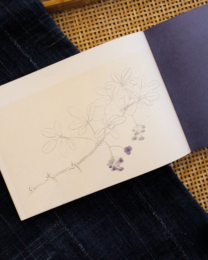 JPN: 100 Sheet Letterbook of Beautiful Japanese Flowers