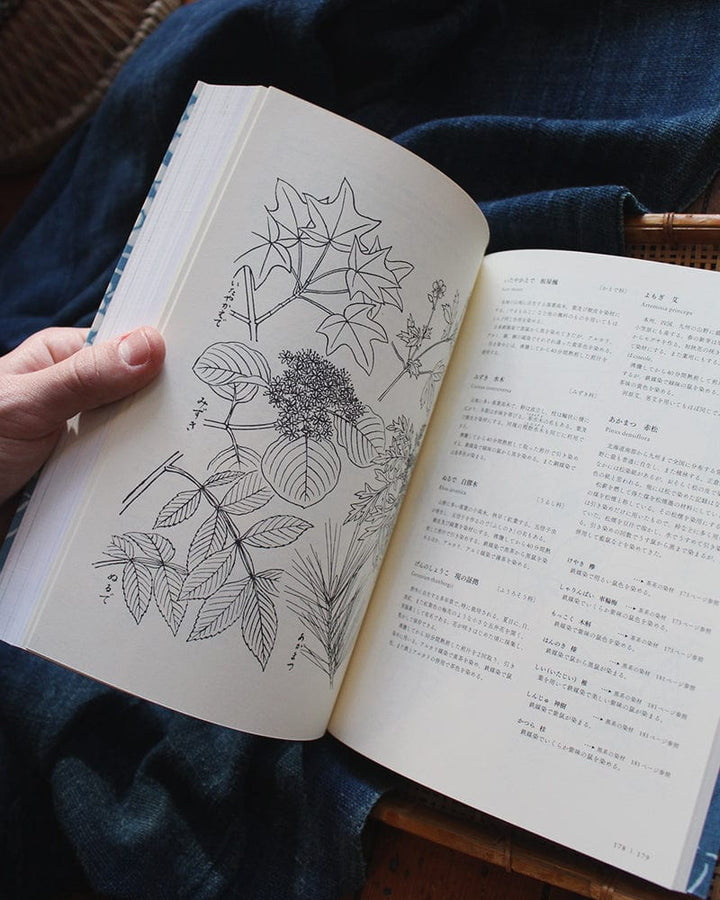 JPN: Plant Dyeing - Katazome Color Encyclopedia