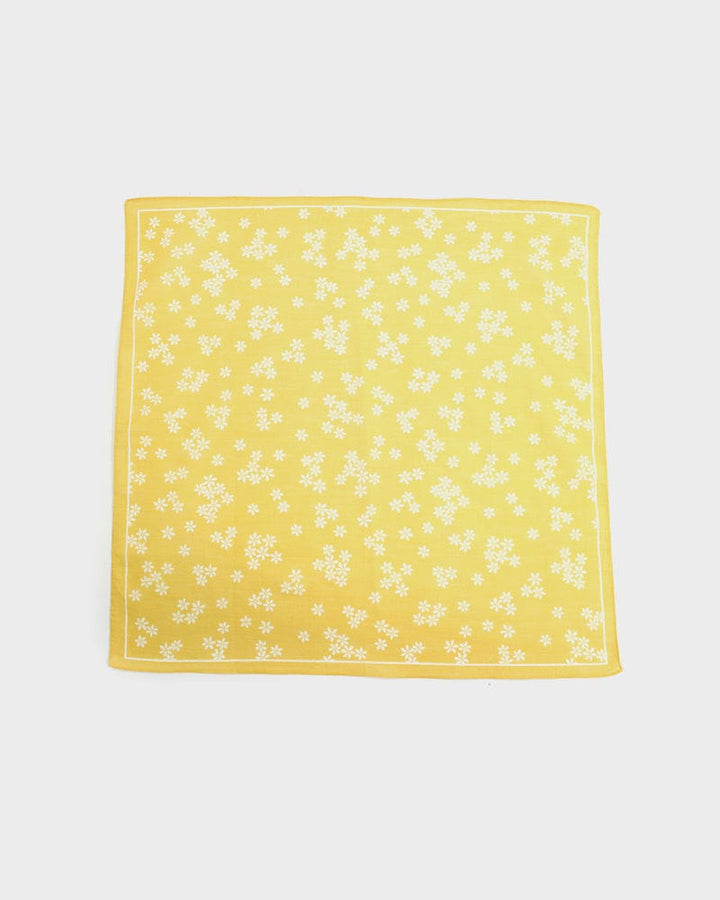 Japanese Handkerchief, Classic, Hannari, Iwanu-Iro