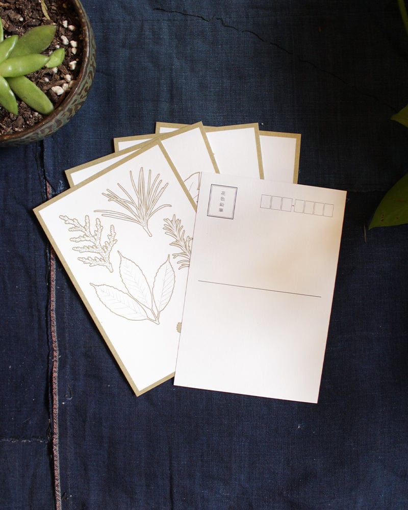 Greeting Cards, Floral Color-In, White and Gold