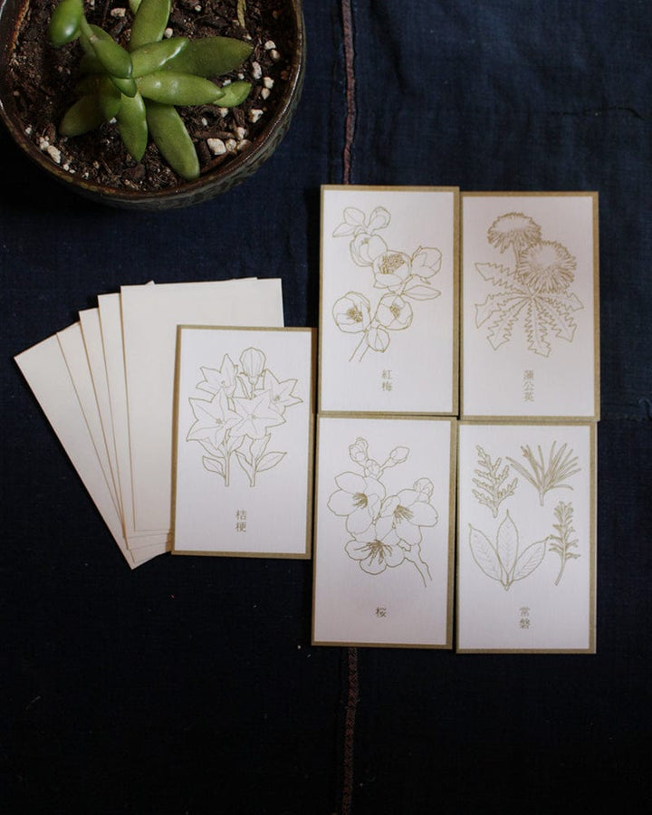 Greeting Cards, Mini, Floral Color-In, White and Gold
