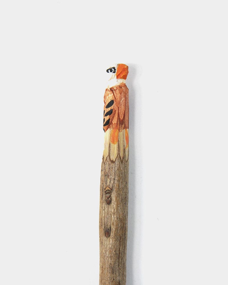 Wooden Animal Pen, Bald Eagle