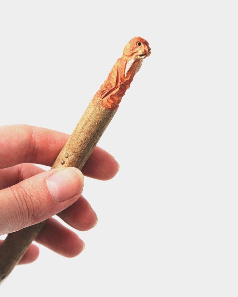 Wooden Animal Pen, Walrus